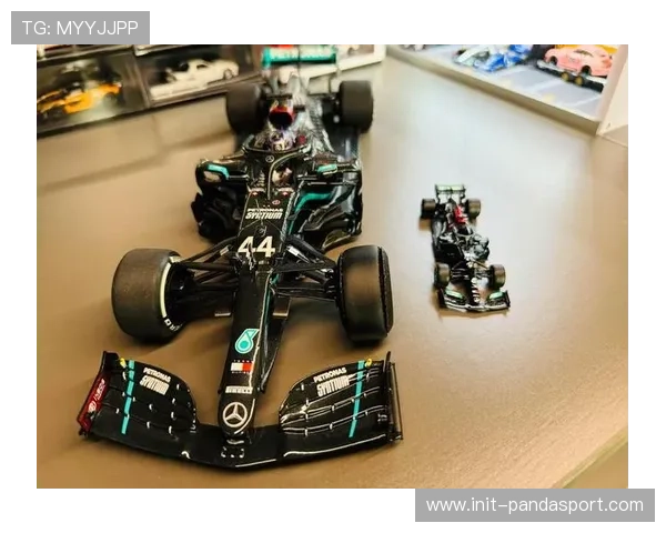 汉密尔顿巴西站爆胎，早期退赛遗憾收场